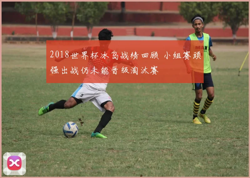 2018世界杯冰岛战绩回顾 小组赛顽强出战仍未能晋级淘汰赛