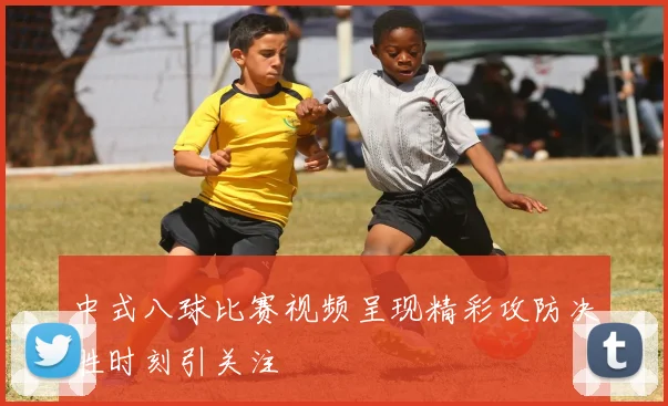 中式八球比赛视频呈现精彩攻防决胜时刻引关注
