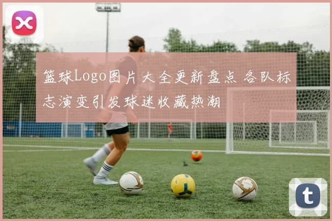 篮球Logo图片大全更新盘点 各队标志演变引发球迷收藏热潮