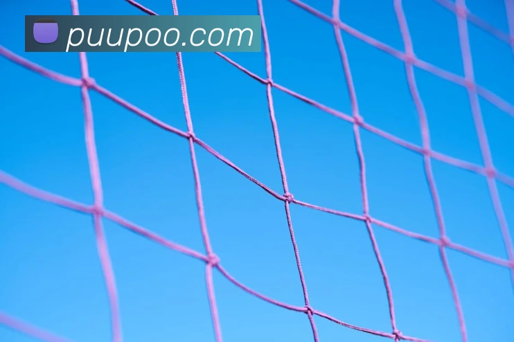 华体在线登录入口APP 高清赛事图